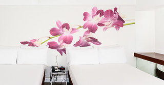 The Penguin Hotel,Miami>>Florida,4 star