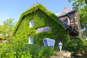 mimosa house