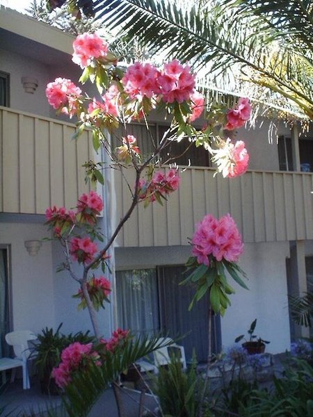 Americas Best Value Presidents Inn On Munras,California>>Monterey,2 star