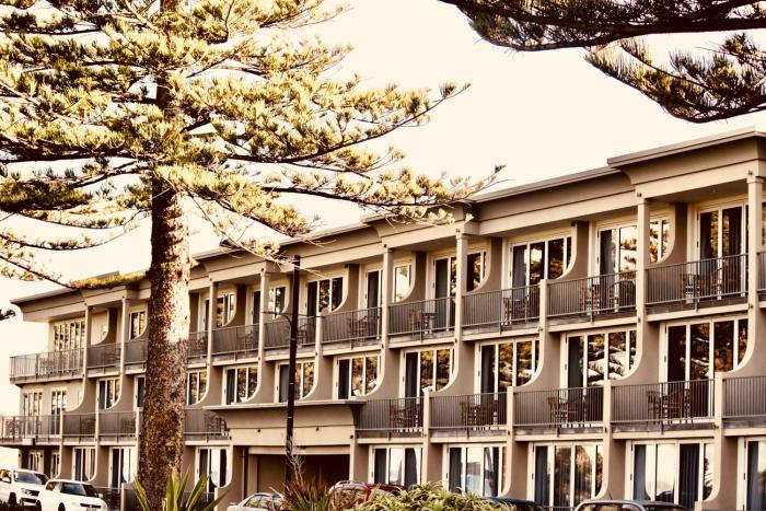 the nautilus napier