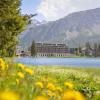 aves arosa