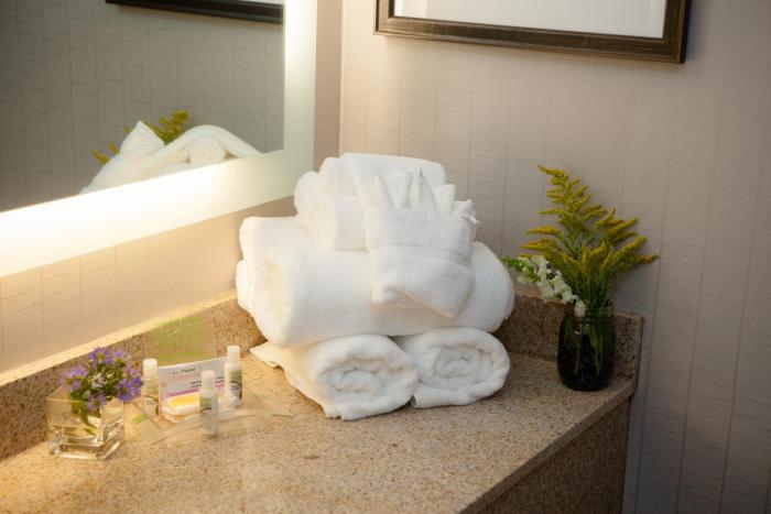 holiday inn greenville by ihg