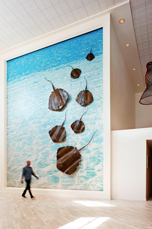 Grand Cayman Marriott Resort,George Town>>Cayman Islands,4.5 star