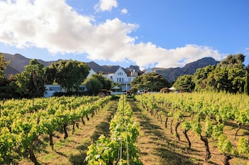 The Cellars-Hohenort,Constantia>>Cape Town,5 star