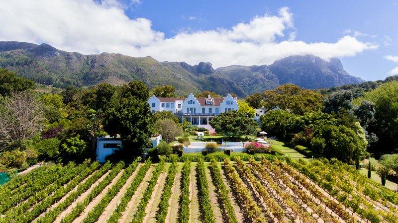 the cellars hohenort