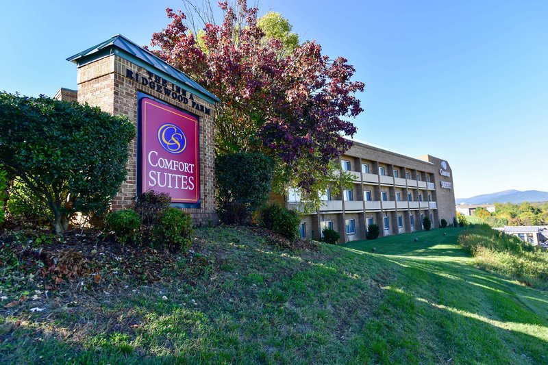 Comfort Suites Inn At Ridgewood Farm,Roanoke>>Cave Spring,2.5 star