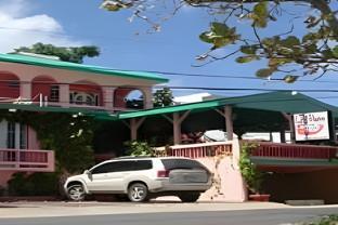 lazy parrot inn