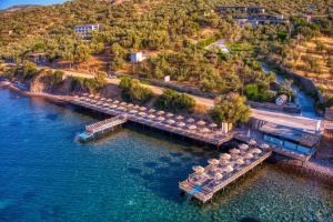 assos dionysos hotel adults only