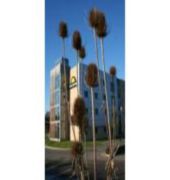 Ramada By Wyndham London North M1,,4 star