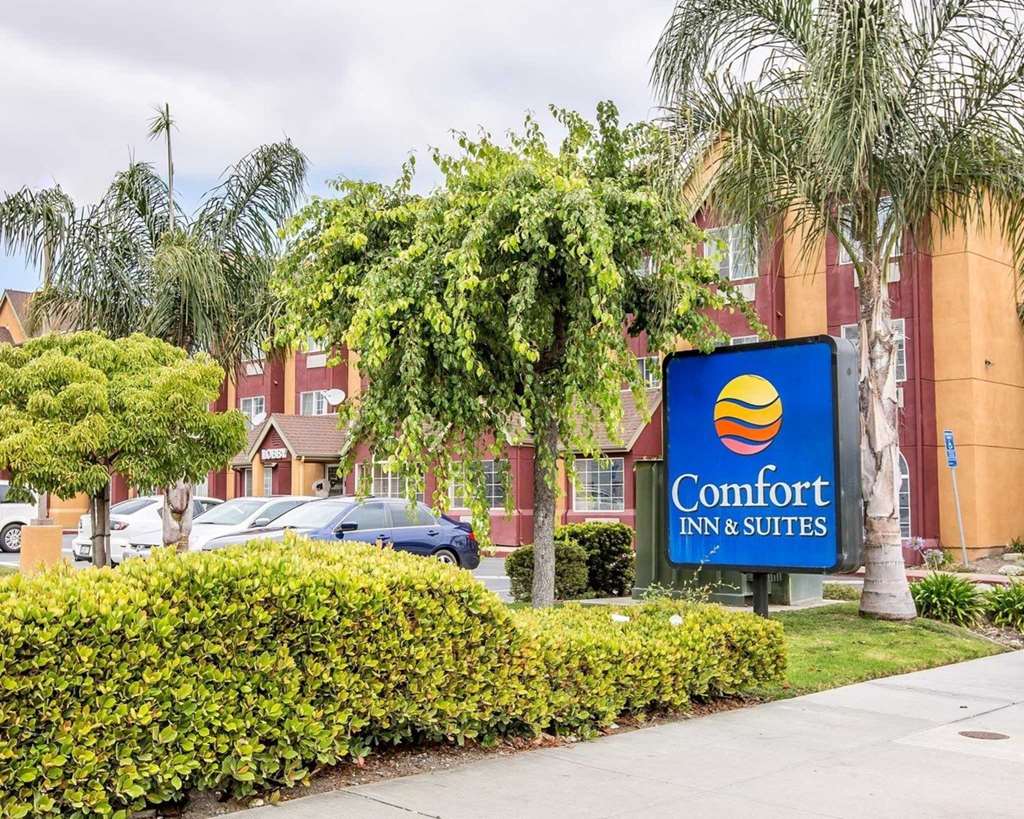 comfort inn and suites of salinas