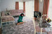 Allenby Park Hotel,Auckland Airport>>Auckland,3 star