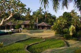 The Lotus Residence,Canggu>>Bali,3 star