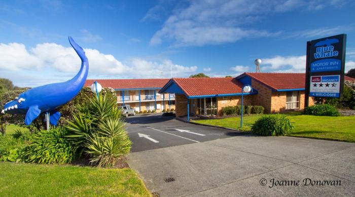 blue whale motor inn and apartments