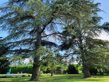 Chambres D´Hôtes Le Cèdre Bleu