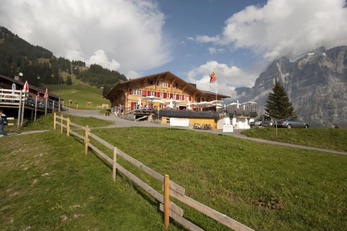 alpinhotel bort