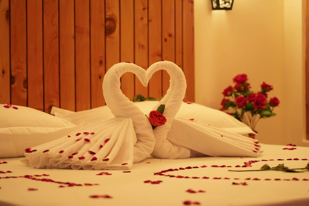 Hotel Ireland,Manali>>Kullu,2.5 star