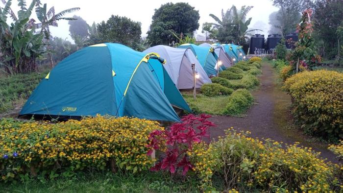 the gate rinjani