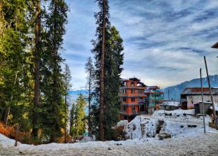 The Apple Home,Narkanda>>Jutogh,3 star
