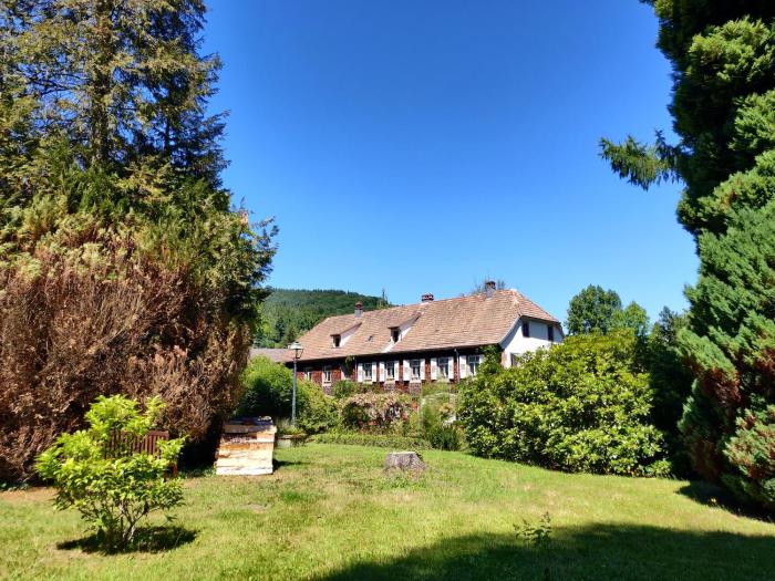 Hotel-Residence La Rubanerie,La Broque>>Haguenau,3 star