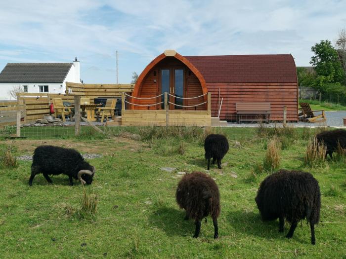 Achmeney Glamping Pod Larger Than Average Pod,,3 star