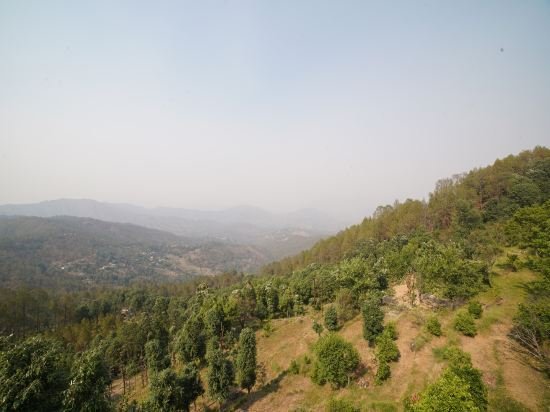 Hotel Pine & Dine Almora,Shitlakhet>>Almora,2 star