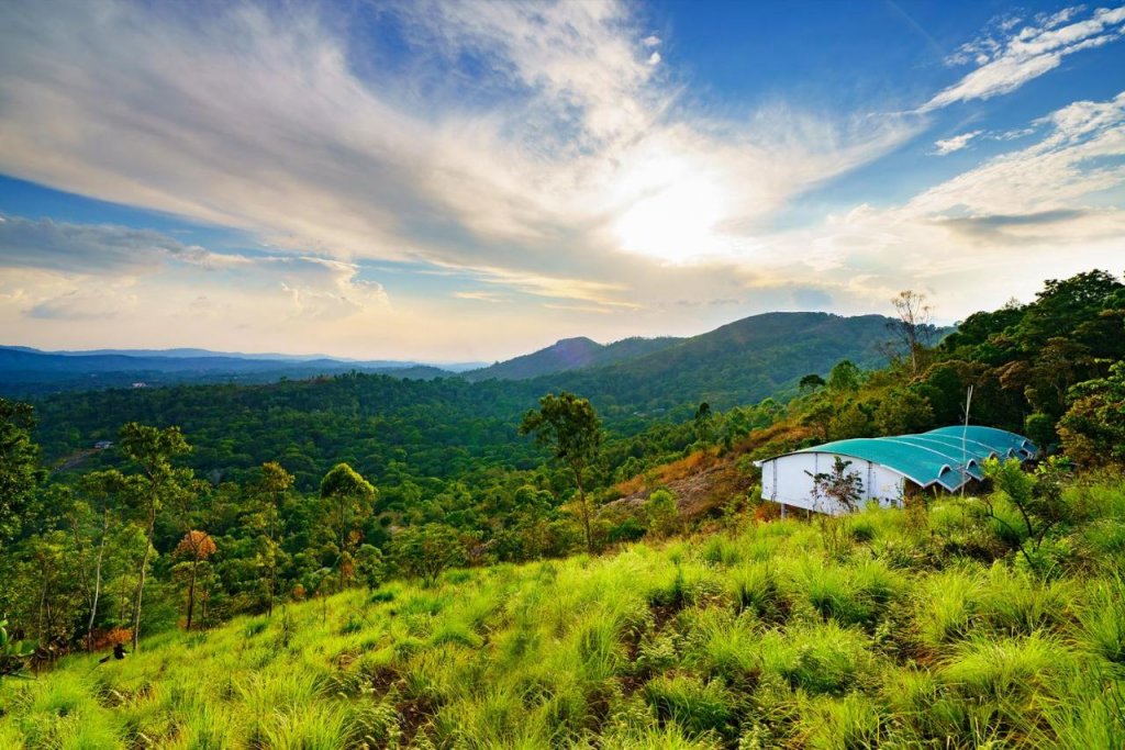 windale resorts munnar