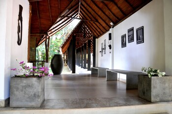 ella jungle inn
