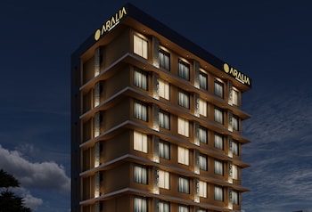 Aralia International Airport, Mumbai,Andheri,3 star