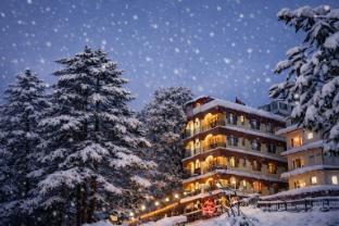 Hotel Taj Palace,Snow View, Lakkar Bazar North Bank Estate, Shimla, Himachal Pradesh 171001,3 star