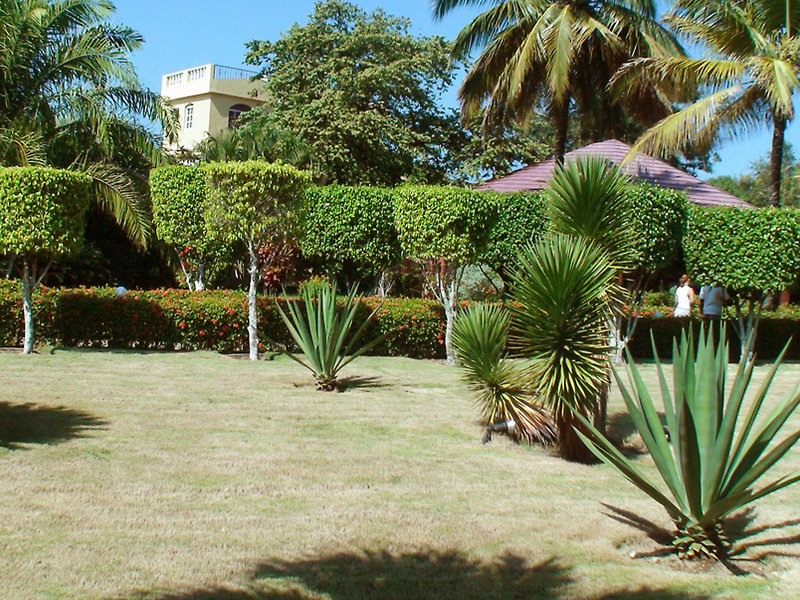 el colibri hotel
