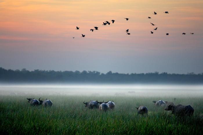 Bamurru Plains,Jabiru>>Darwin,5 star