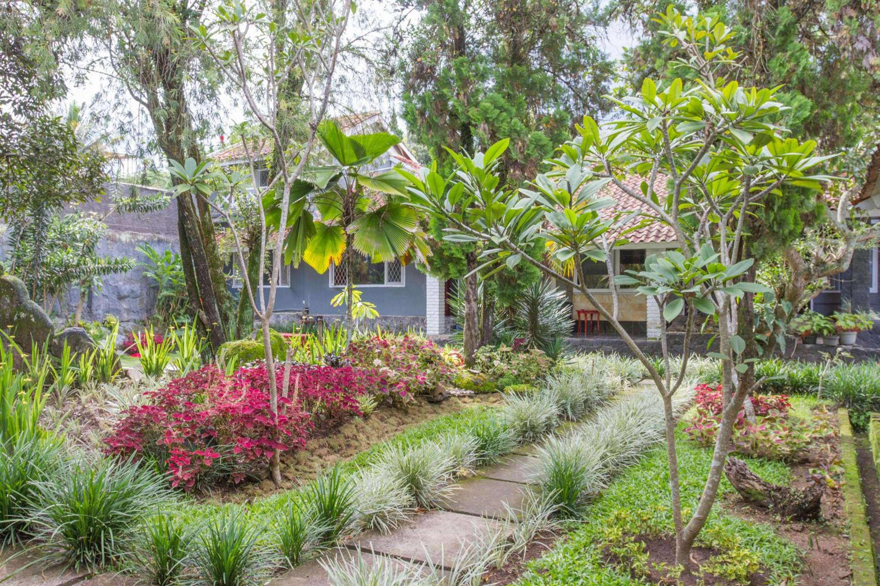 Reddoorz Plus @ Otista Garut,Cipanas>>Bandung,2.5 star