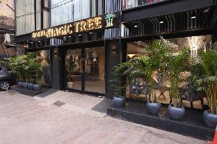 Hotel The Magic Tree - Paharganj,New Delhi>>Delhi,3 star