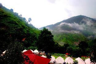 niyama jungle resort chail hills