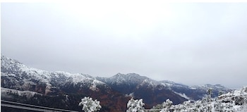 The Vintage Hill Village,Kanatal>>Dhanaulti,2 star