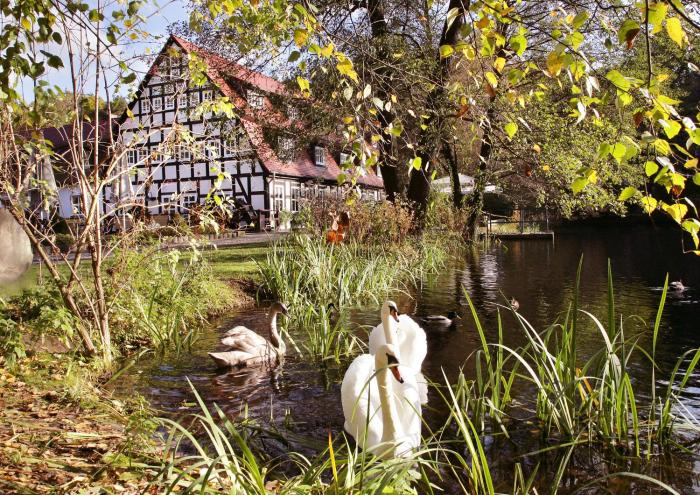 Springbach-Muhle Belzig,In Bad Belzig (Potsdam-Mittelmark District),3 star