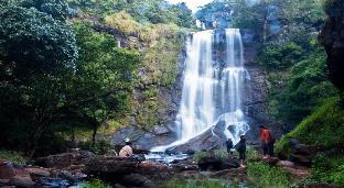 Kemmannugundi Hill Resort-Jungle Lodges