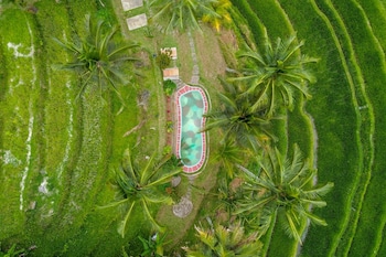 Pesona Bali Ecolodge,Indonesia>>Penebel,2.5 star
