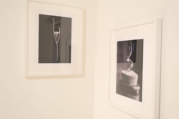 wine apartments florence verdicchio