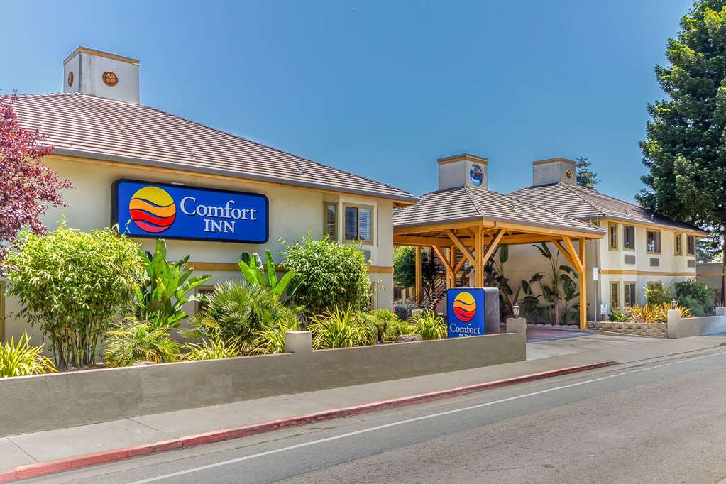 comfort inn santa cruz