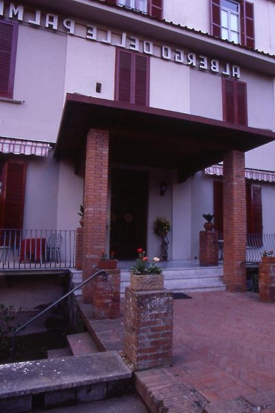 hotel delle palme