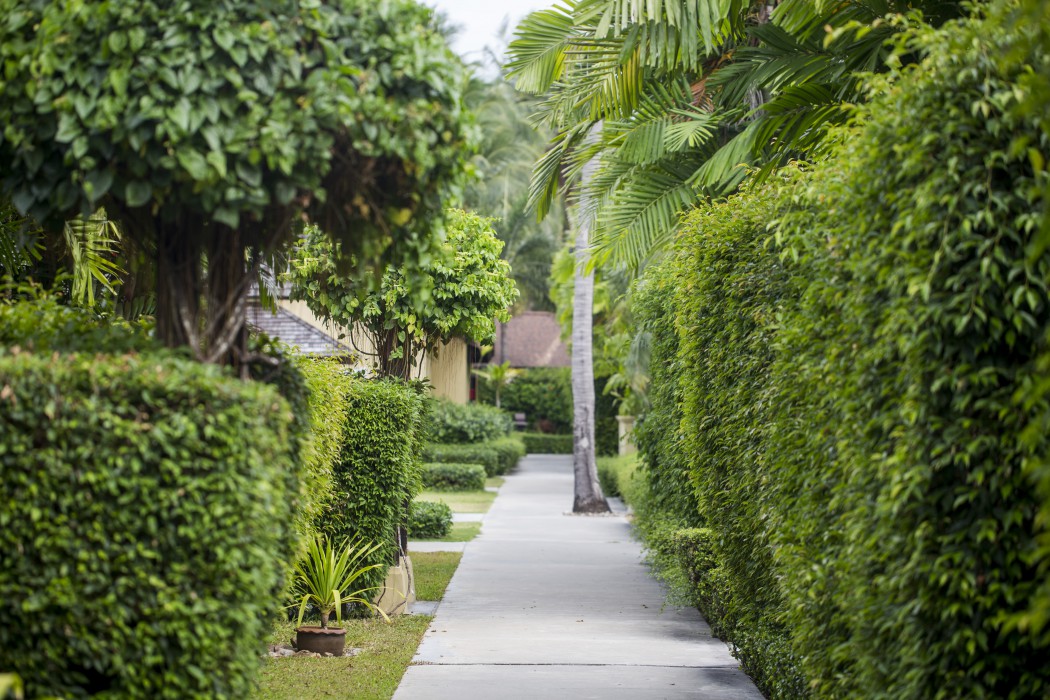 Tui Blue The Passage Samui Private Pool Villa,Ko Samui>>Ang Thong,4 star