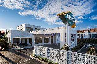 the wayback pigeon forge a tribute portfolio hotel