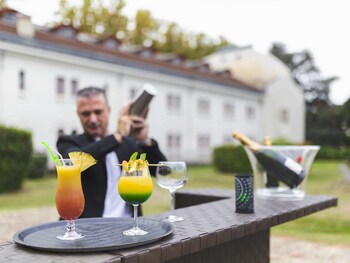 Mercure Vichy Thermalia,Auvergne-Rhône-Alpes>>Vichy,4 star