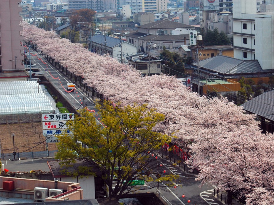 Hotel Hatta,Near Mars Yamanashi Winery,3 star