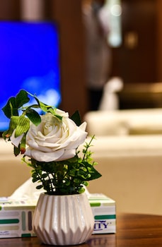 Laylati Al Hamra,Saudi Arabia>>Riyadh,0 star