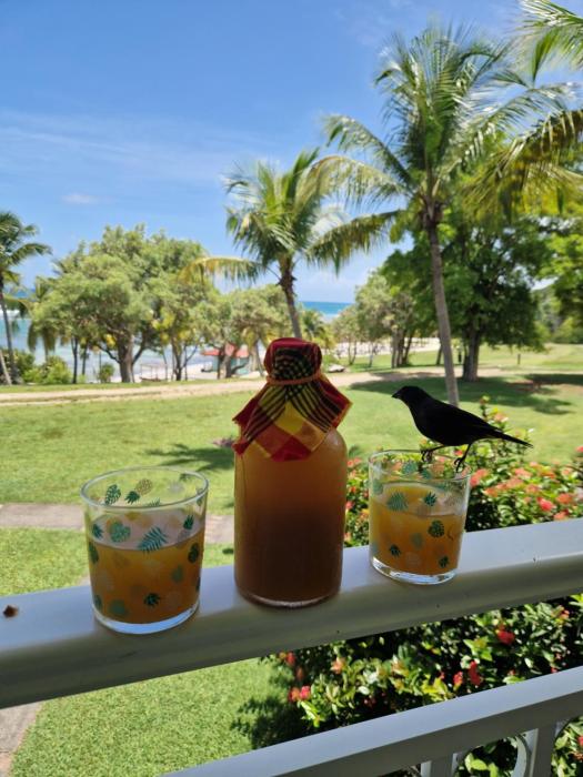 Barbadine - Resorts Flats - Sainte Anne,Grande-Terre>>Sainte-Anne,0 star