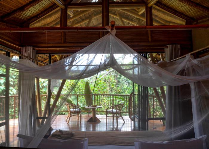 Bosque Guardian Lodge,San Martín>>La Banda De Shilcayo,3.5 star