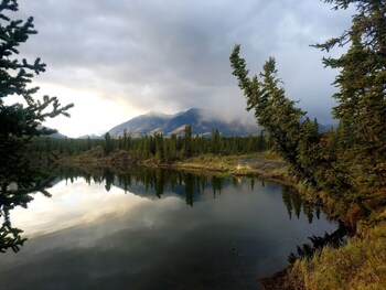 Wrangell Mountains Wilderness Lodge,Slana>>Gakona,3 star