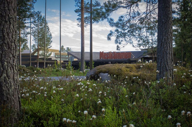 Hotel Mesikammen